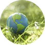 Công ty TNHH Vòng bi đặc biệt Giang Tô Wanda,