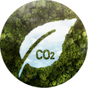 Công ty TNHH Vòng bi đặc biệt Giang Tô Wanda,