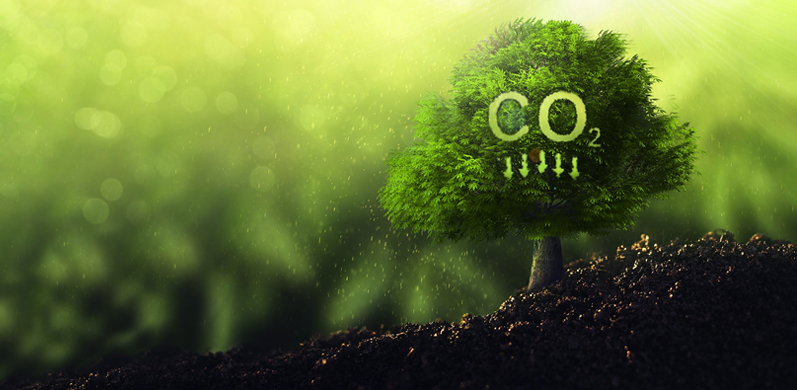 Công ty TNHH Vòng bi đặc biệt Giang Tô Wanda,