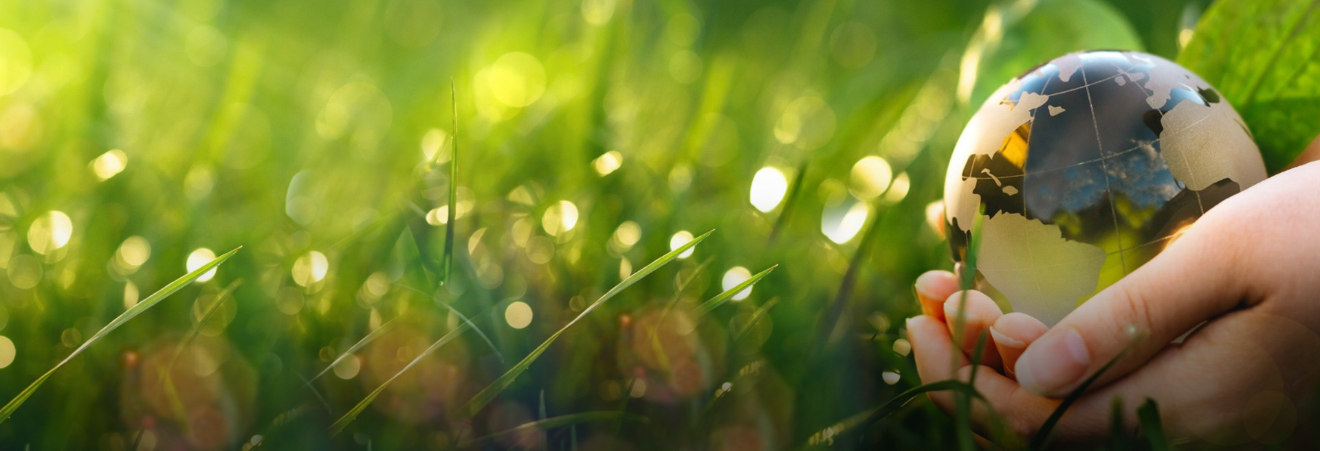 Công ty TNHH Vòng bi đặc biệt Giang Tô Wanda,